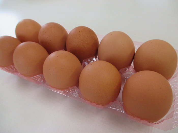 地養卵 (栃木県産）